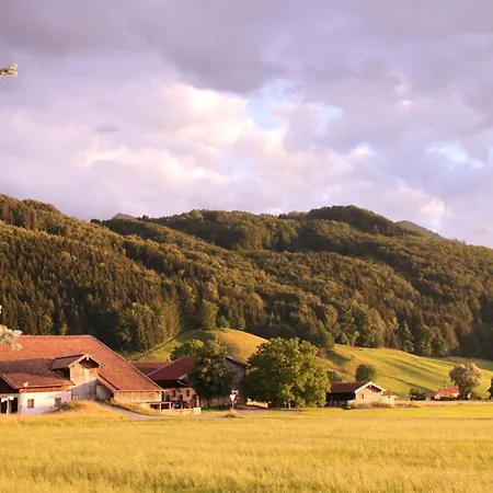 Ciao-aschau Bergen Fewo Alpenheide Waldhauser *